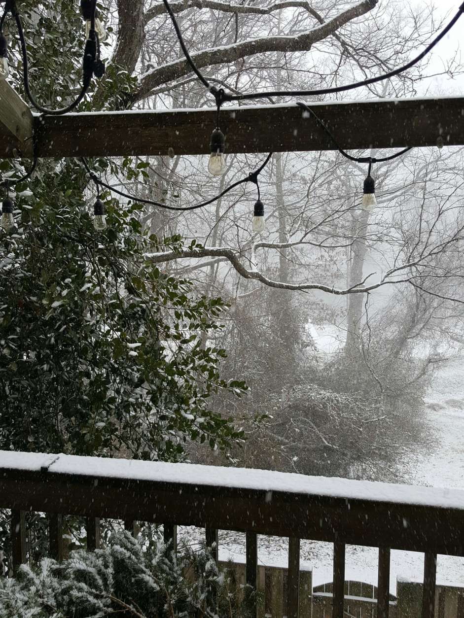 Snow comes down hard around noon Saturday, Jan. 7, 2017, in Columbia, Md. (Courtesy @JustinMBoudreau on Twitter)