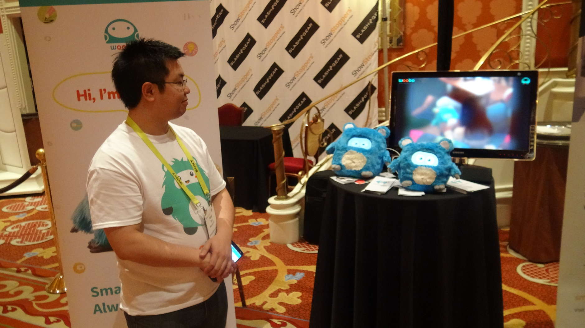 Photo of the Woobo booth at CES 2017