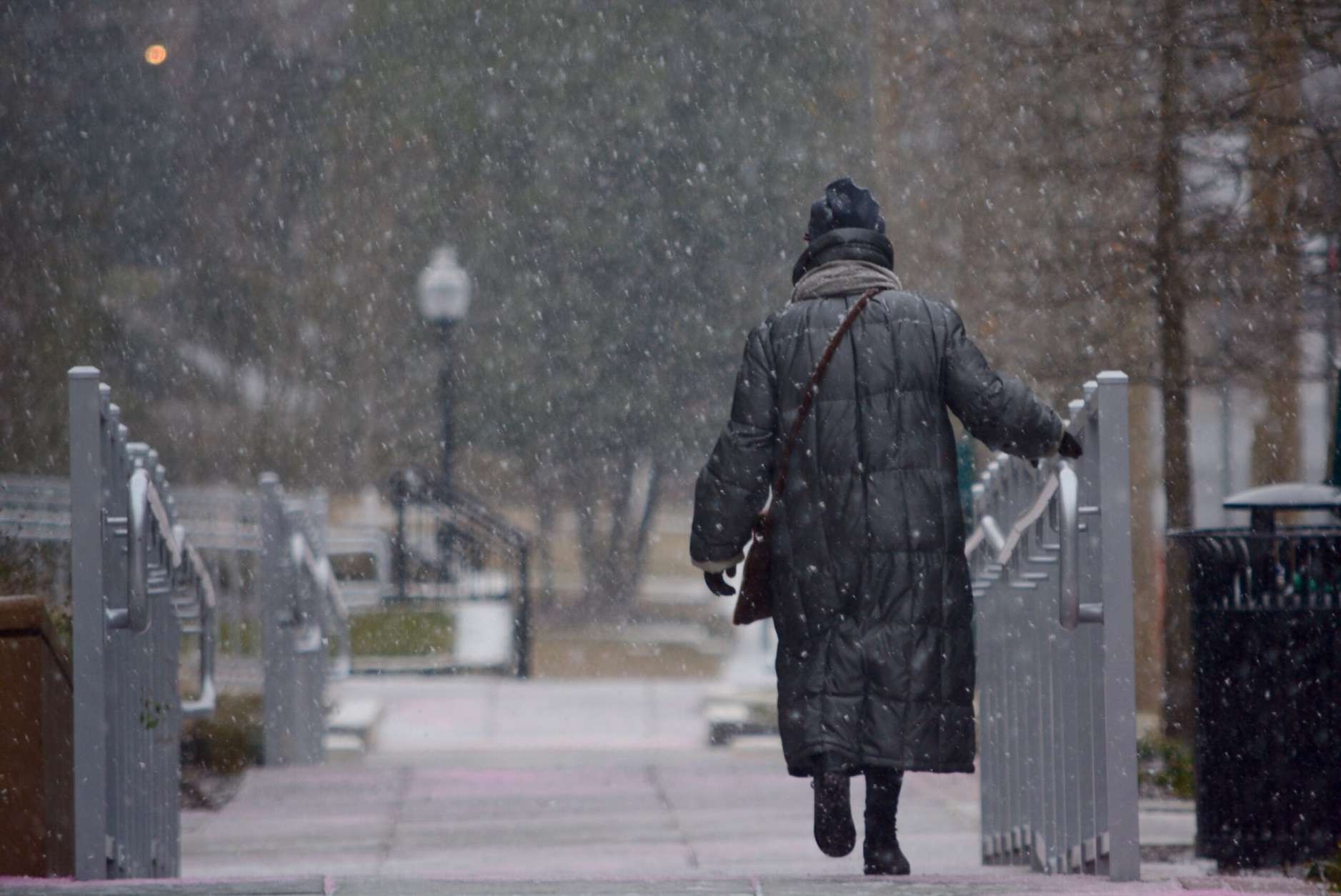 Snow falls steadily Saturday morning in Cathedral Commons in D.C. (WTOP/Dave Dildine)