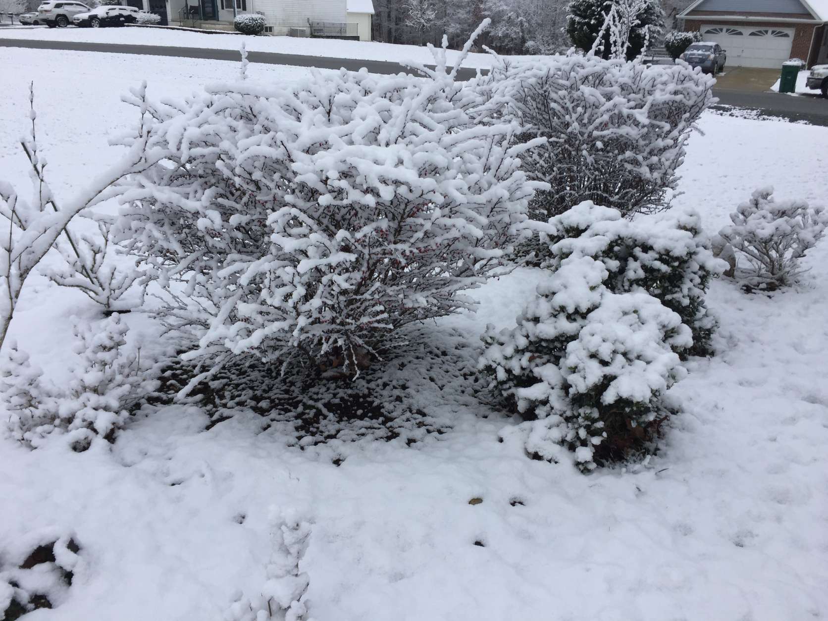 Snow in the backyard in Waldorf, Maryland, Jan. 30, 2017. (WTOP/Darci Marchese)