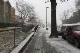 Snow falls, coating the sidewalks Saturday on 11th Street Northwest in D.C. (Courtesy Isaac DeSanto)
