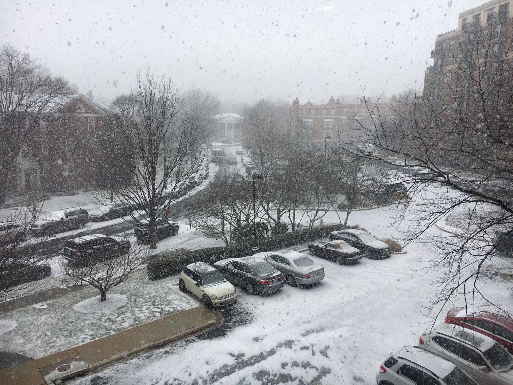 Outside the Glass-Enclosed Nerve Center in Northwest D.C., snow falls and coats the ground. (WTOP/Jamie Forzato)