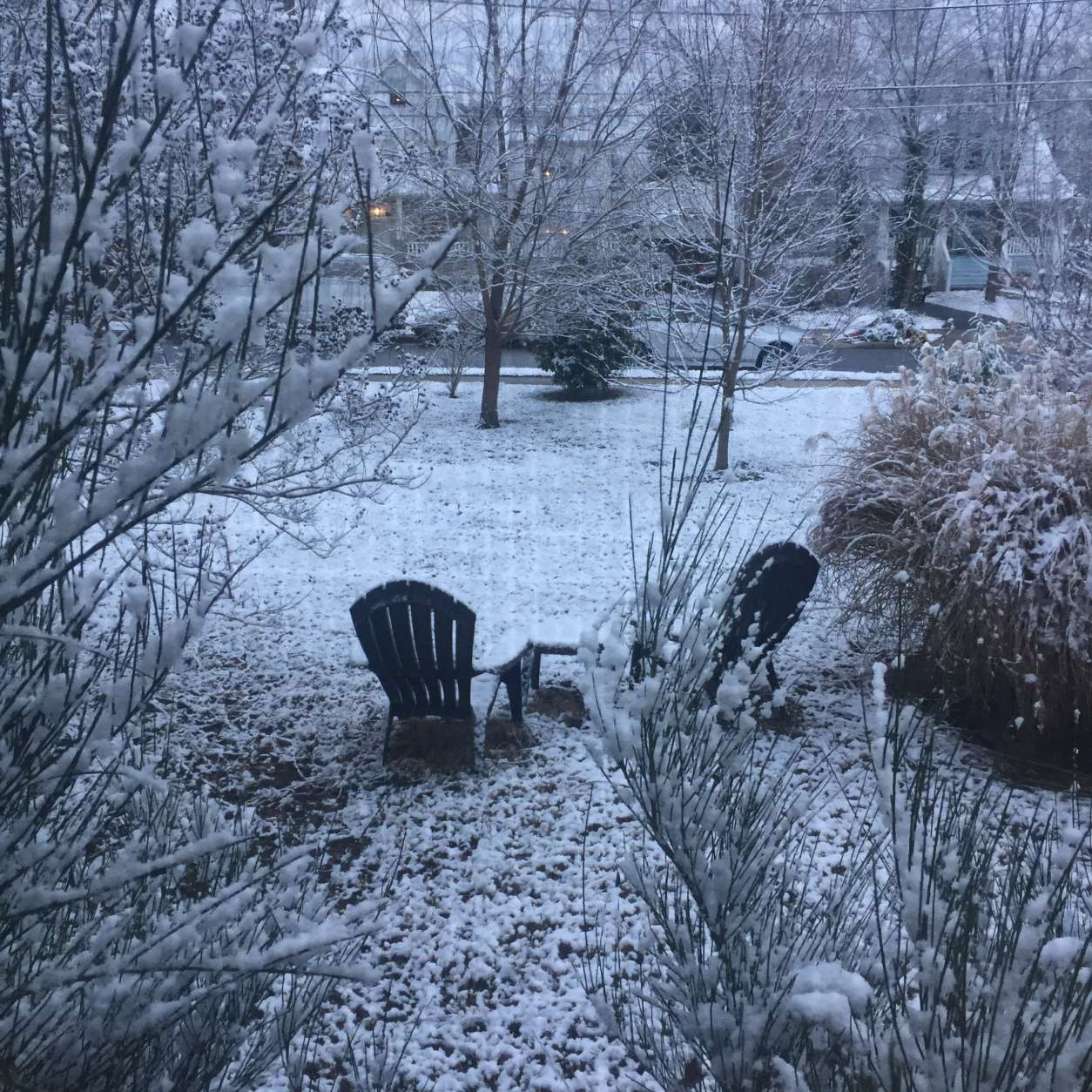 A snowy Monday morning in Hyattsville, Maryland. (Courtesy @TillyCotter via Twitter)