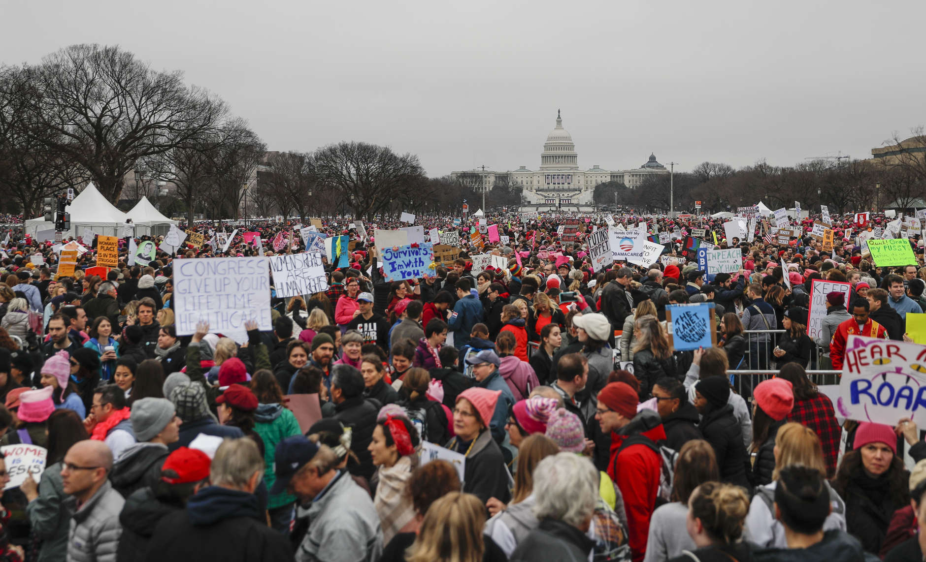 Protesters gather on the National Mall for the Women's March on Washington during the first full day of Donald Trump's presidency, Saturday, Jan. 21, 2017 in Washington.  (AP Photo/John Minchillo)