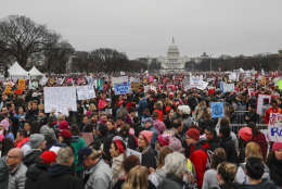 Protesters gather on the National Mall for the Women's March on Washington during the first full day of Donald Trump's presidency, Saturday, Jan. 21, 2017 in Washington.  (AP Photo/John Minchillo)