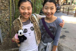 Sisters Ally and Hailey, of Potomac, Maryland, visit the National Zoo to say goodbye to Bao Bao. (WTOP/Megan Cloherty)