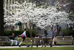 People take in the midday sun amongst flowering trees Monday, April 11, 2011, at Rittenhouse Square in Philadelphia. (AP Photo/Matt Rourke)