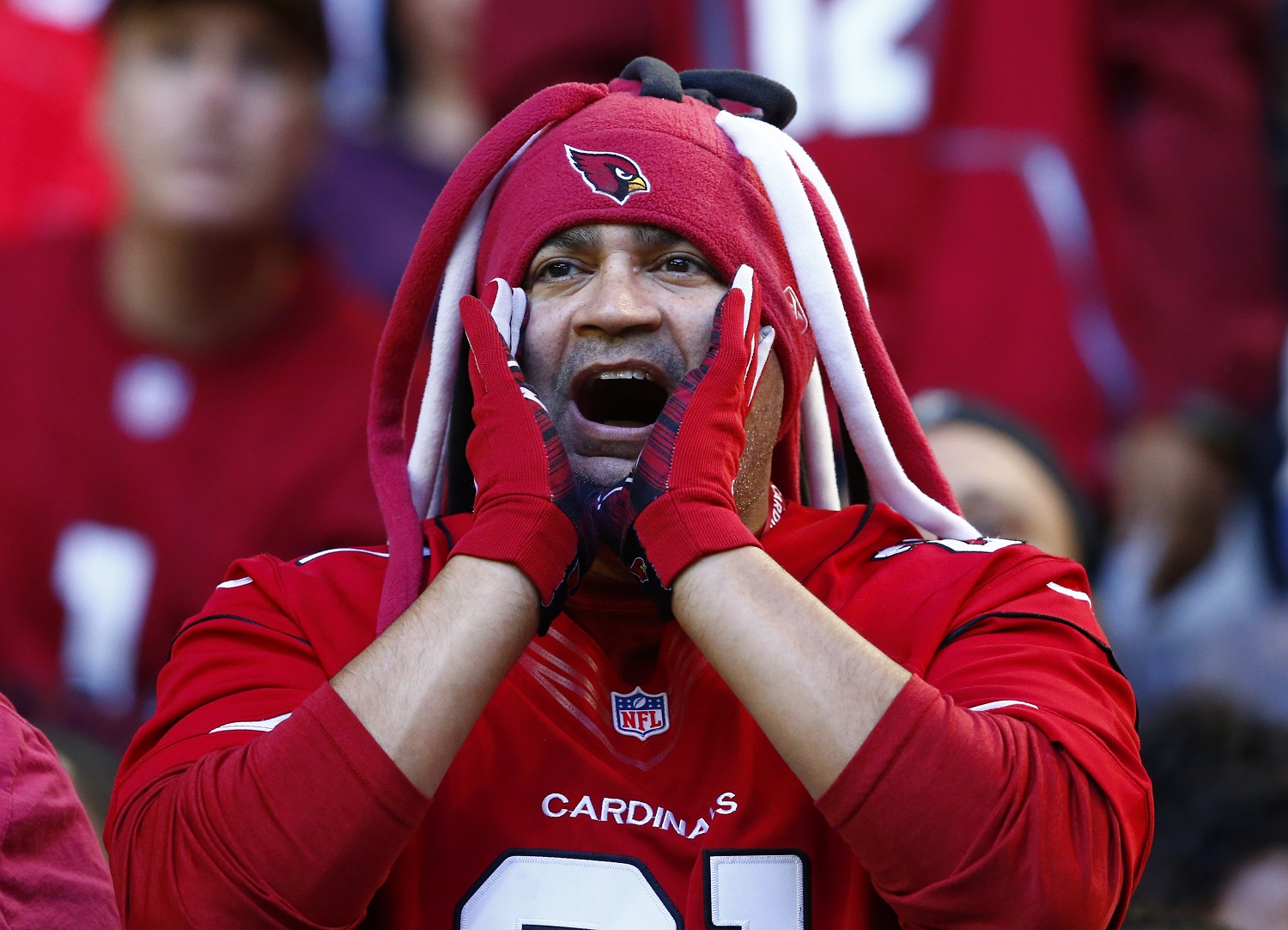An Arizona Cardinals fan cheers during the first half of an NFL football game against the New Orleans Saints, Sunday, Dec. 18, 2016, in Glendale, Ariz. (AP Photo/Ross D. Franklin)
