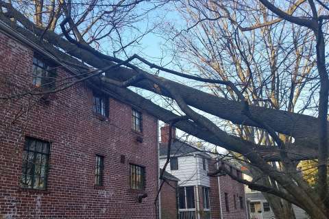 Strong winds whip through DC region