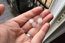 Pea-sized hail in Calvert County. (WTOP/Michelle Basch)
