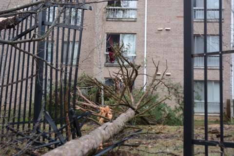 Severe storms sweep through DC region