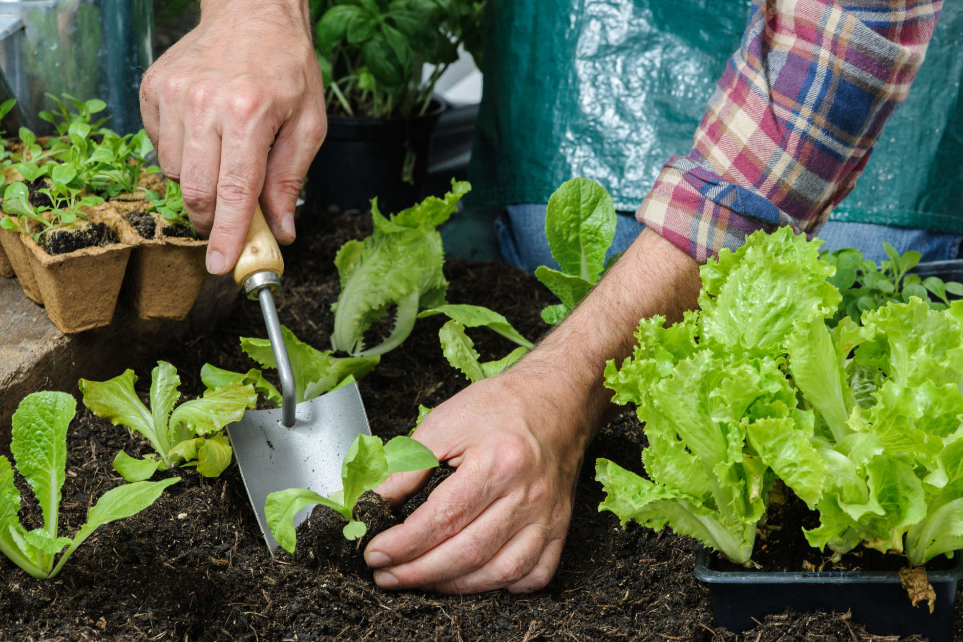 Gardening is good for your health. (Thinkstock)