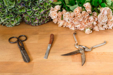 The science of keeping cut flowers fresh