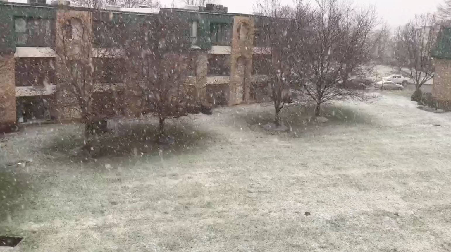 Snow is seen coming down in Hagerstown, Maryland, March 1, in a photo submitted by a WTOP listener.