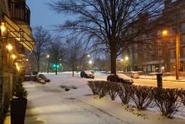 Snow blankets the Cathedral Heights neighborhood in Northwest D.C. (WTOP/Will Vitka)