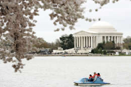 With the Jefferson Memorial in the background, visitors on a paddle boat look at the cherry blossoms along the Tidal Basin Sunday, April 1, 2007 in Washington. (AP Photo/Evan Vucci)