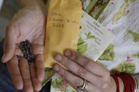 Filmmaker documents why seed diversity is important for future food supply