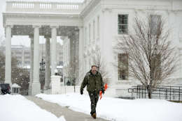 A worker walks through the falling snow outside the White House in Washington, Tuesday, March 14, 2017. A sloppy, blustery late-season storm lashed the Northeast with sleet and more than a foot of snow in places, paralyzing much of the Washington-to-Boston corridor after a remarkably mild February had lulled people into thinking the worst of winter was over.  (AP Photo/Andrew Harnik)