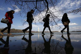 People skirt the edge of a puddle as they walk around the Tidal Basin under the cherry trees with the Washington Monument in the background, Saturday, March 18, 2017, in Washington. (AP Photo/Alex Brandon)