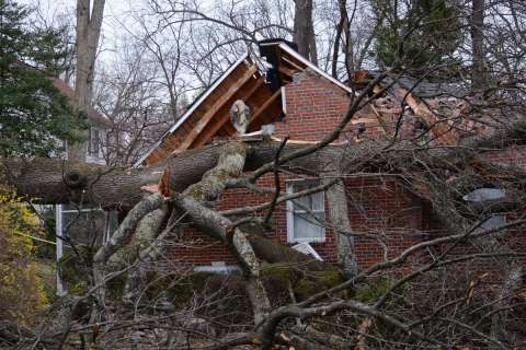 Photos: Storm rips through DC region, leaves trail of damage