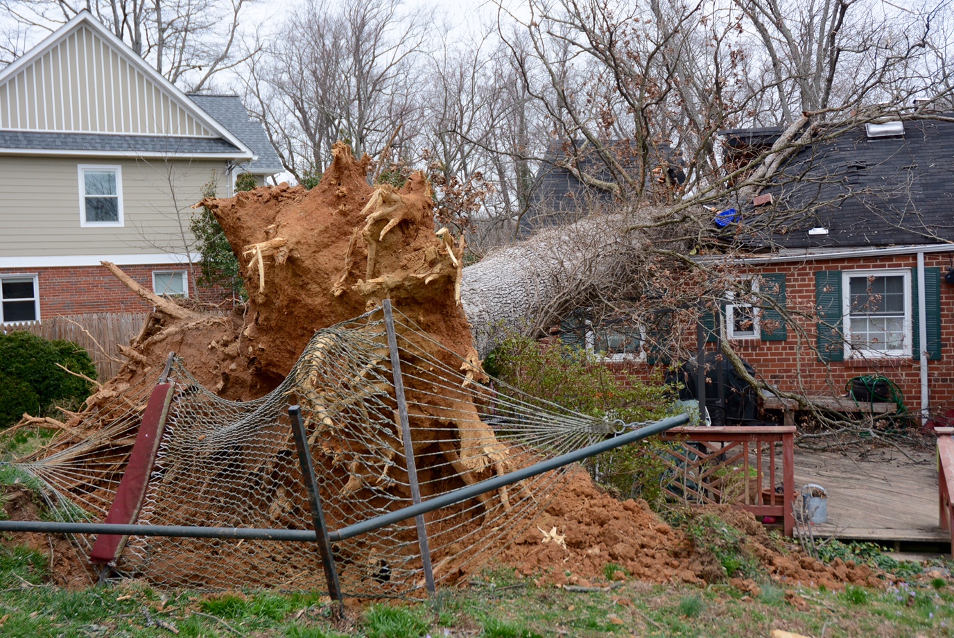A large tree slammed into a home on Parkwood Court in Kensington. An occupant was in the lower level at the time and no one was injured. The family has been displaced because of the damage. (WTOP/Dave Dildine)