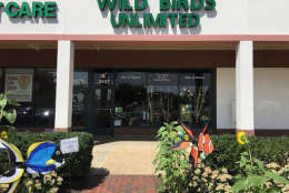 Over the years Zuiker has established a loyal clientele of bird lovers in the Arlington area. (ARLNow.com)