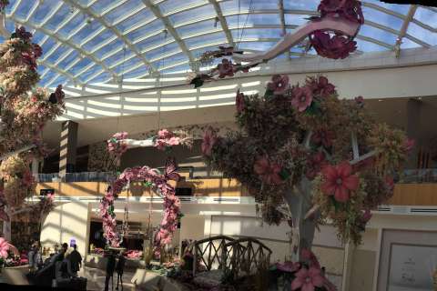 Vegas-style display blooms at MGM National Harbor