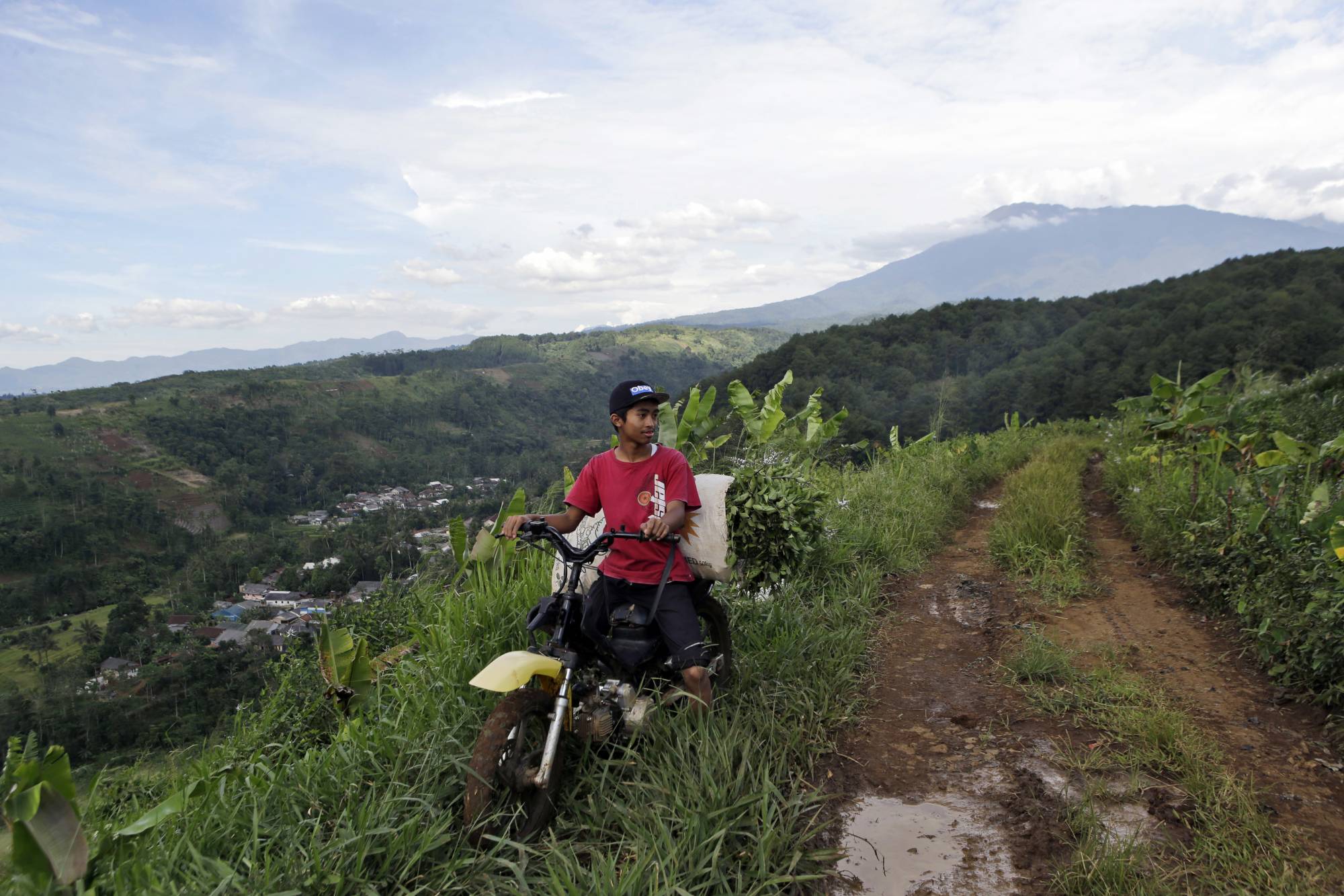 Fears for Indonesian park’s rare species as Trump town rises