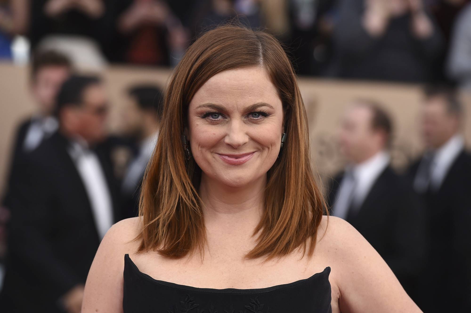 Poehler, Offerman team up for NBC craft-making reality show