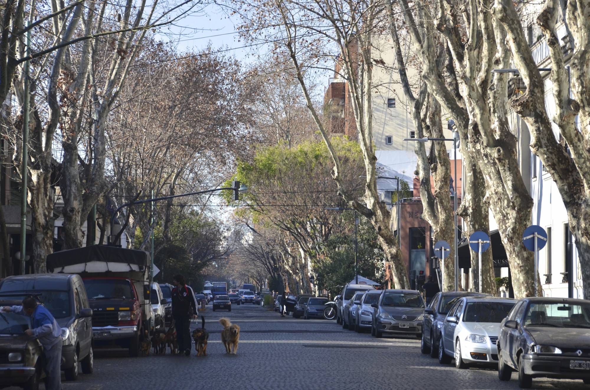 Buenos Aires neighborhood Palermo Soho: Shop, eat, drink | WTOP