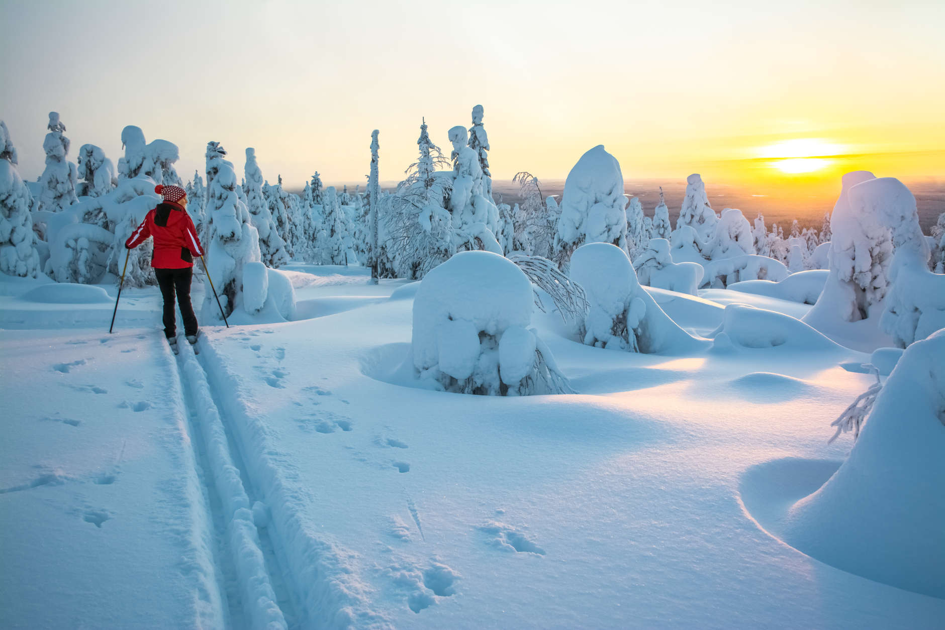 Woman cross country skiing in Lapland Finland in sunset