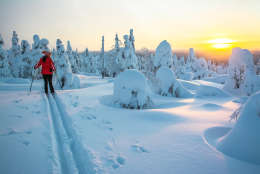 Woman cross country skiing in Lapland Finland in sunset