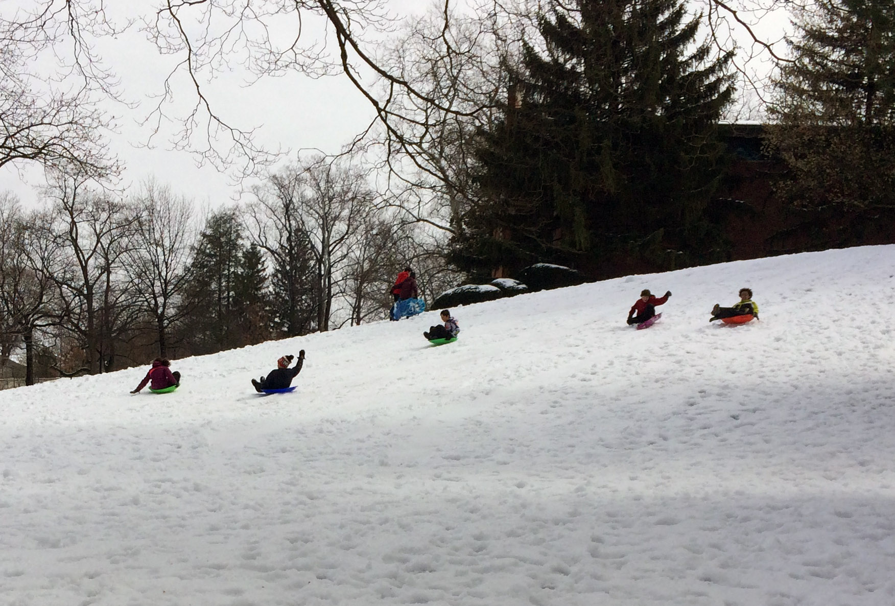 Children sled down a hill at Wesley Theological Seminary off Massachusetts Avenue in D.C. on Tuesday, March 14, 2017. (WTOP/Dick Uliano)