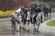 Arlington Cemetery pauses horse use for 45 days for health concerns