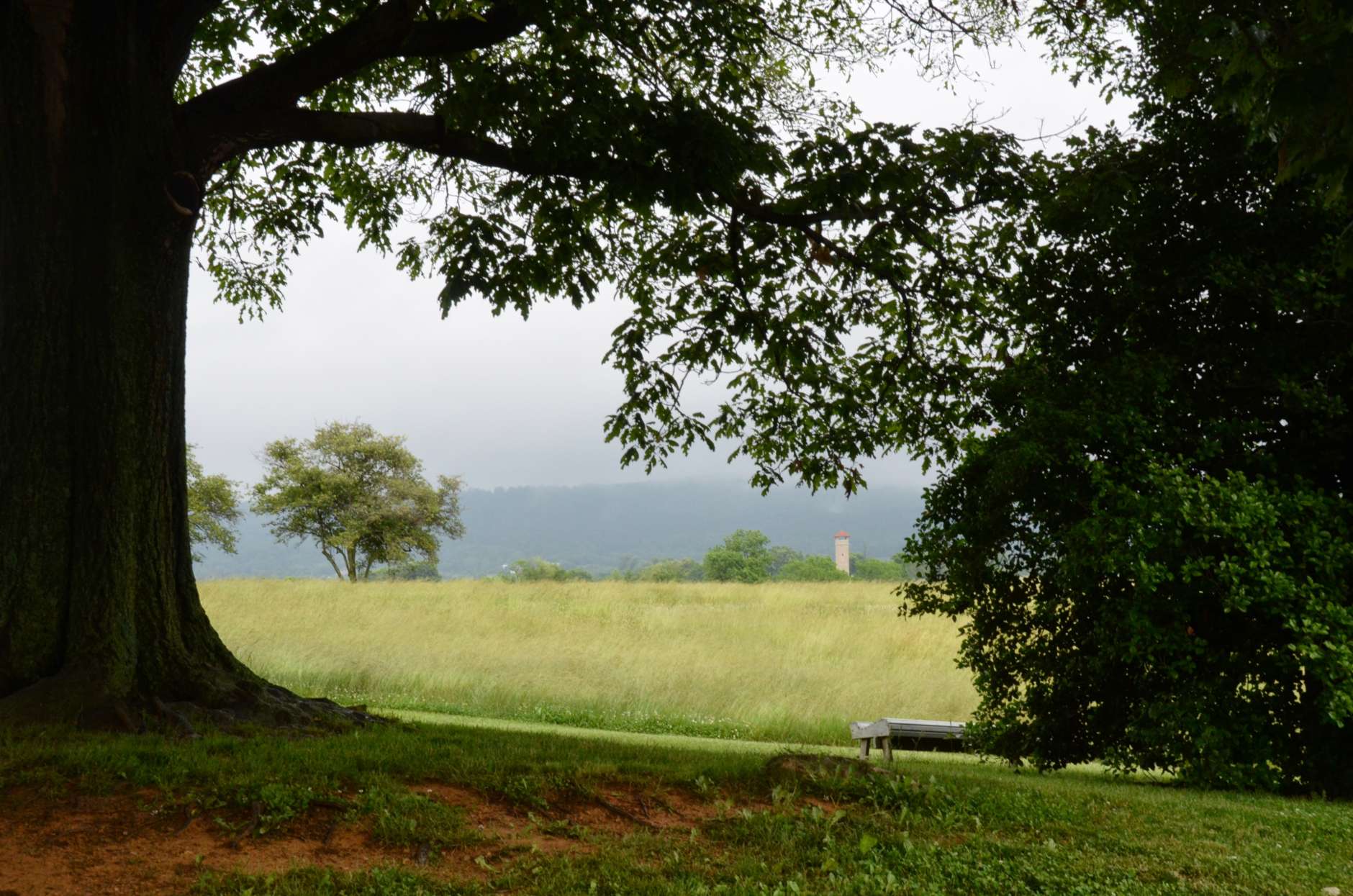 In this June 7, 2013, photo, the placid meadows and hills of Antietam National Battlefield in Sharpburg, Md., are a contrast with the Civil War violence that once raged across this land. So consuming is the serenity at Antietam that it can seduce you into ignoring the story of the mayhem that unfolded here on Sept. 17, 1862.(AP Photo/Cal Woodward)