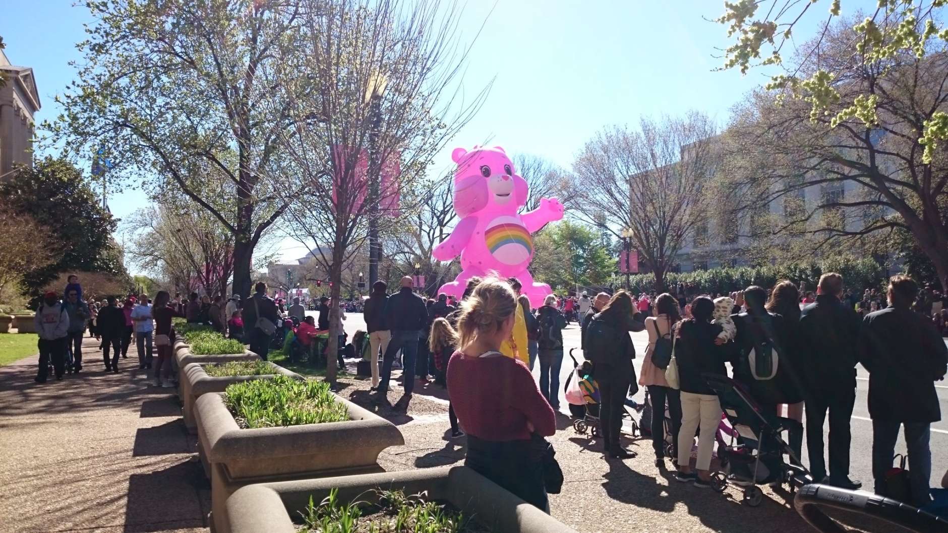 A big, pink bear was among the early floats in the 2017 National Cherry Blossom Parade. (WTOP/Dennis Foley)