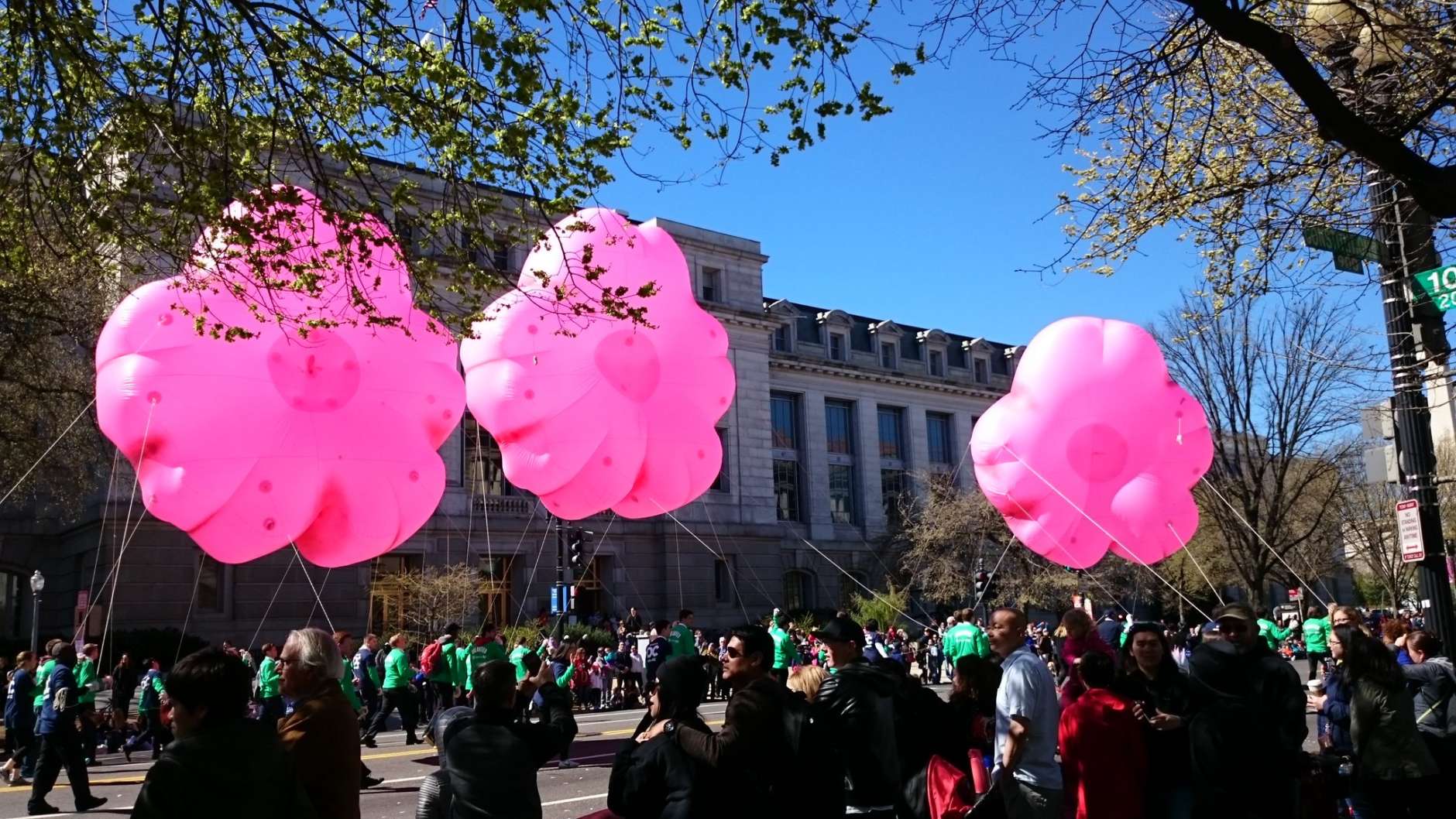 Giant balloons float through the National Cherry Blossom Parade route in 2017. (WTOP/Dennis Foley, file)