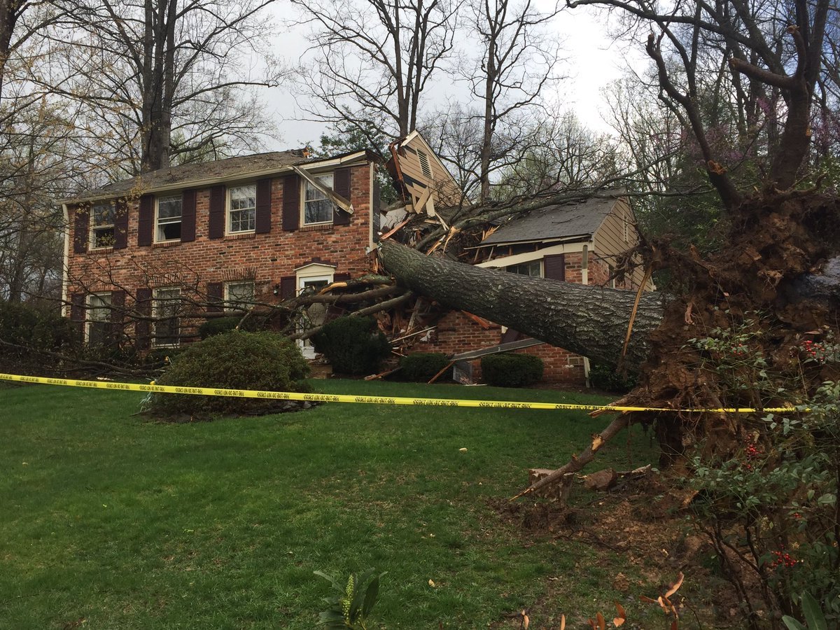 A massive tree uprooted in storms and sliced into a home in Annandale Thursday. (WTOP/Michelle Basch)