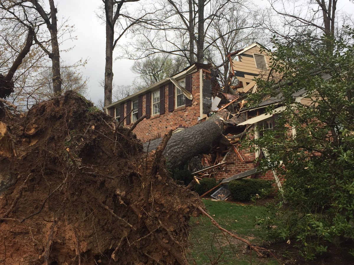 The tree crashed into a two-story house in the 8200 block of Toll House Road in Annandale Thursday afternoon. (WTOP/Michelle Basch)