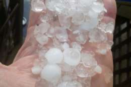 Photo of person with hail in their hand
