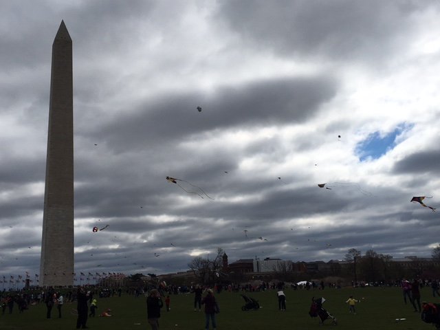 Rules prohibit children from entering purchased kites. (WTOP/Jenny Glick)