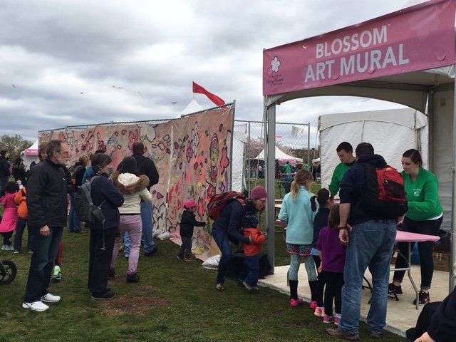 Many turned out Saturday for the National Cherry Blossom Kite Festival. (WTOP/Jenny Glick)