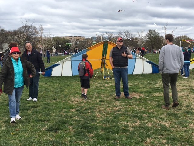 The festival is a draw for both expert kite flyers and amateurs. (WTOP/Jenny Glick)