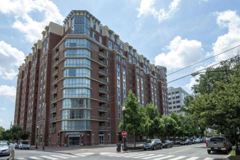 DC condos go to the dogs — literally