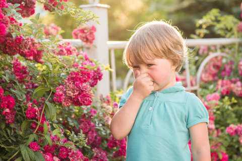 6 things you may not know about seasonal allergies