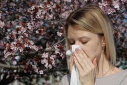 It's that time of year when season allergies begin to take hold. (Thinkstock)