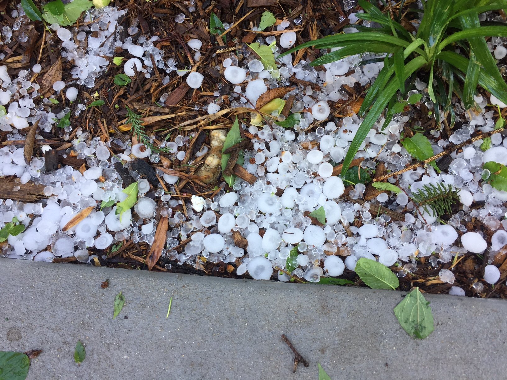 Hail gathers after a storm in the D.C. area on April 21, 2017. (Courtesy Don Squires)
