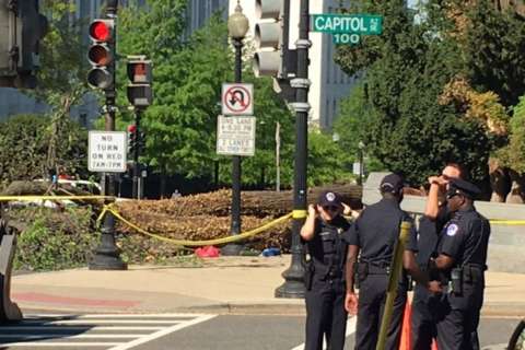 Man dies after tree falls on him near Capitol building