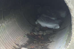 Police said David Watson built a makeshift bed in the 40-inch diameter drainpipe. (Courtesy Howard County police)