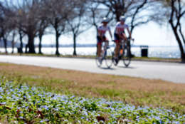 Cyclists enjoying a ride on Hains Point in Southwest D.C. in February 2017. (WTOP/Dave Dildine)